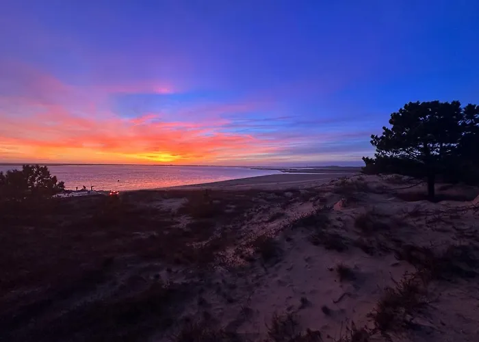 Maison Renovee 4 Pers A La Palmyre, Terrasse, Animaux Admis, Parking - Fr-1-705-18 * La Palmyre