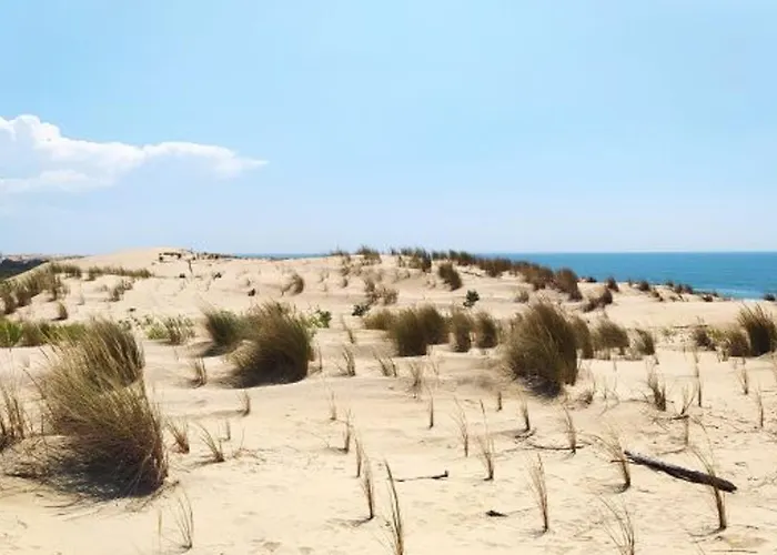 Σπίτι διακοπών Maison Renovee 4 Pers A La Palmyre, Terrasse, Animaux Admis, Parking - Fr-1-705-18